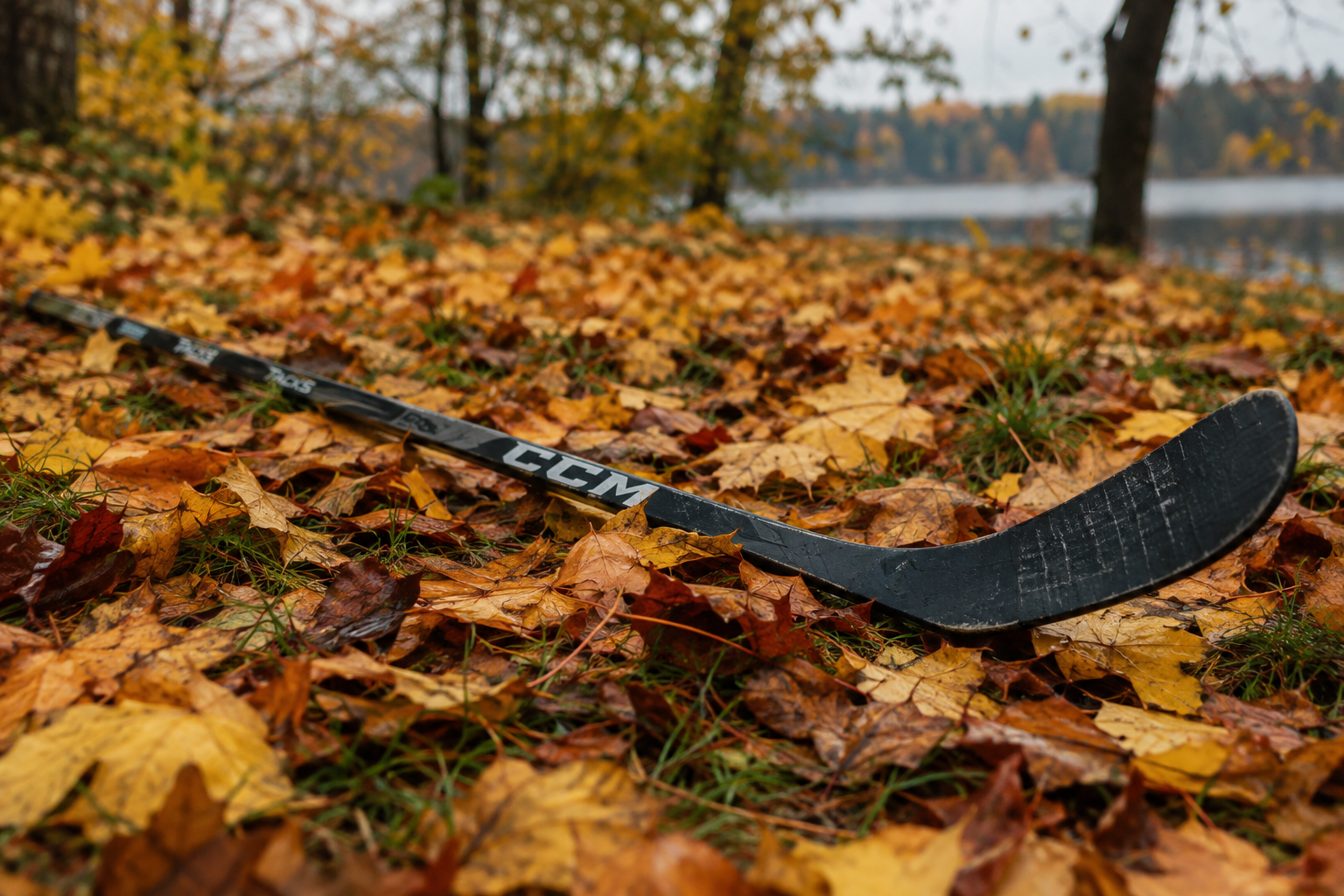 FALL SALE